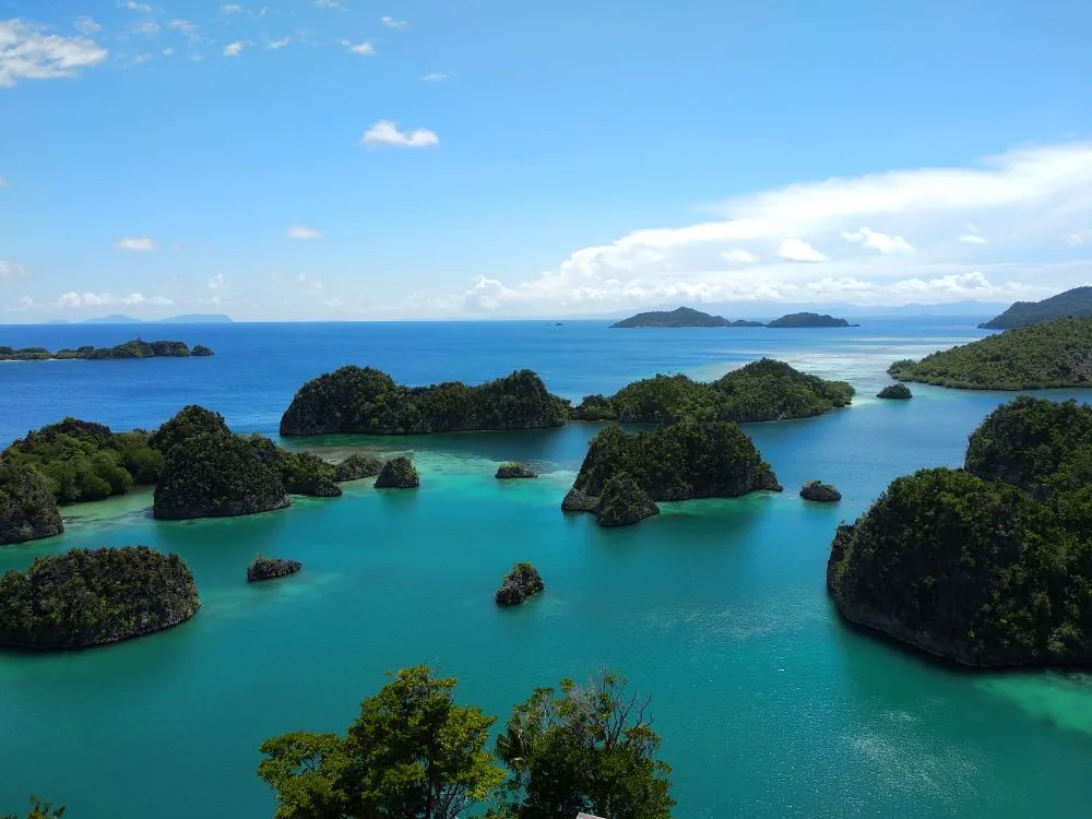 Green karst islands in turquoise water seen from the Piaynemo viewpoint, Raja Ampat