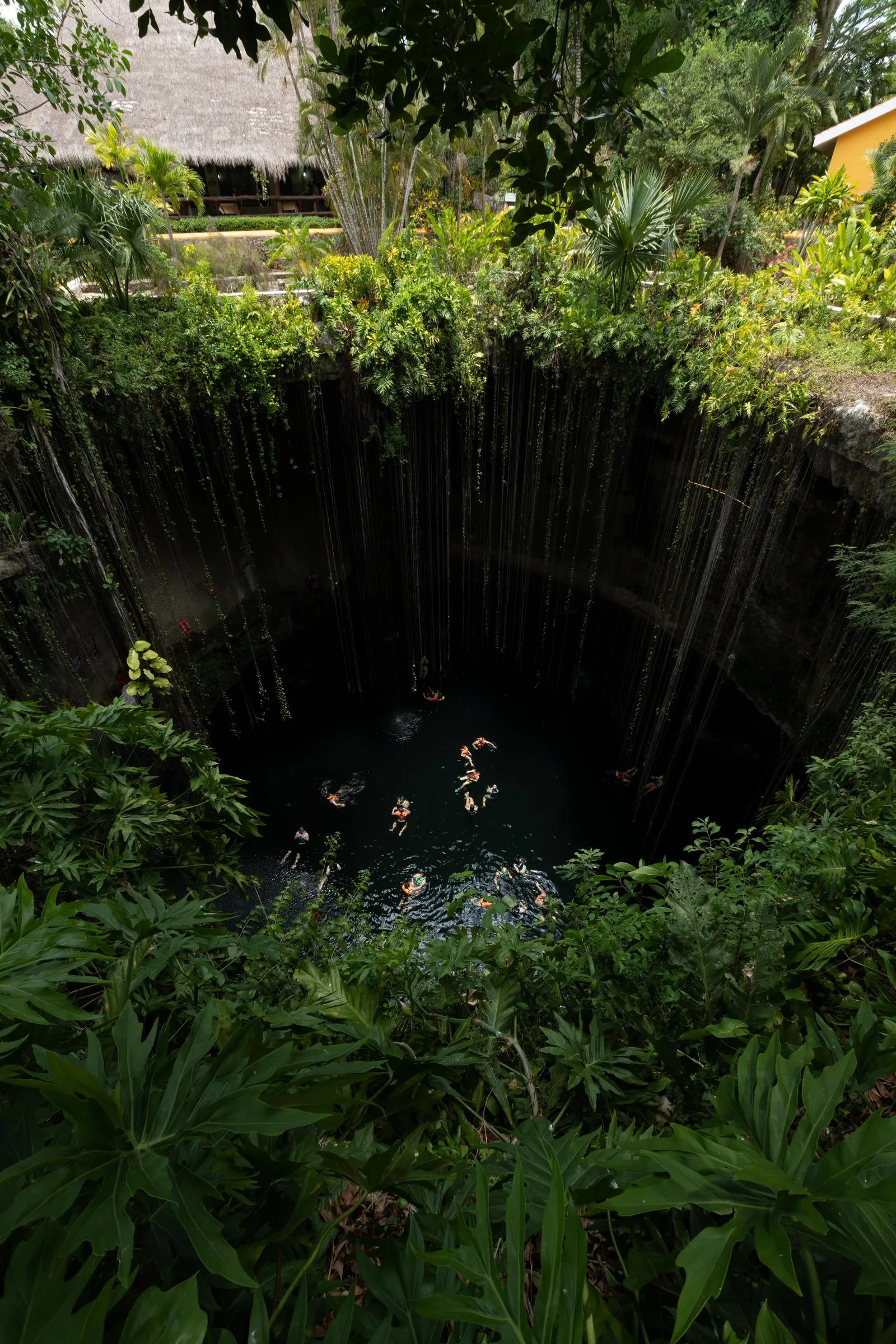Looking down into Cenote Ik Kil, with hanging vines and deep blue water, Yucatán, Mexico