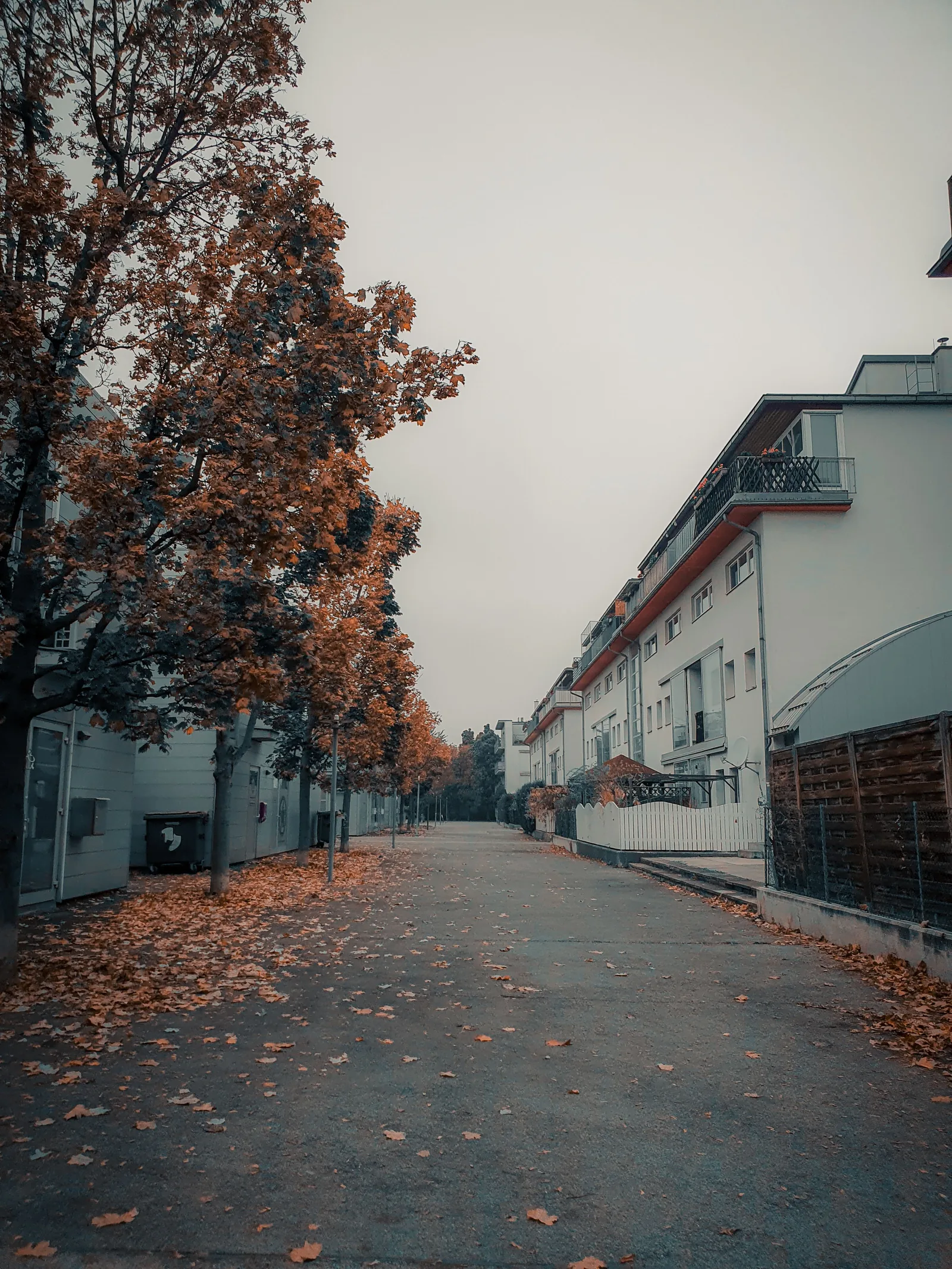 Autumn street in Vienna with orange leaves and an overcast sky