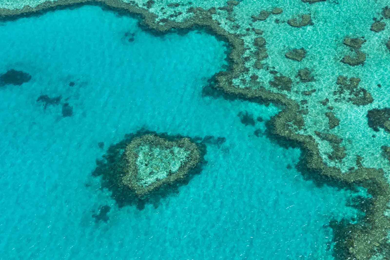 Aerial view of heart-shaped Heart Reef in the Great Barrier Reef, Australia