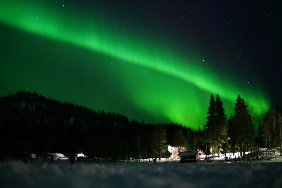 Northern lights glowing over a snowy forest in Finnish Lapland