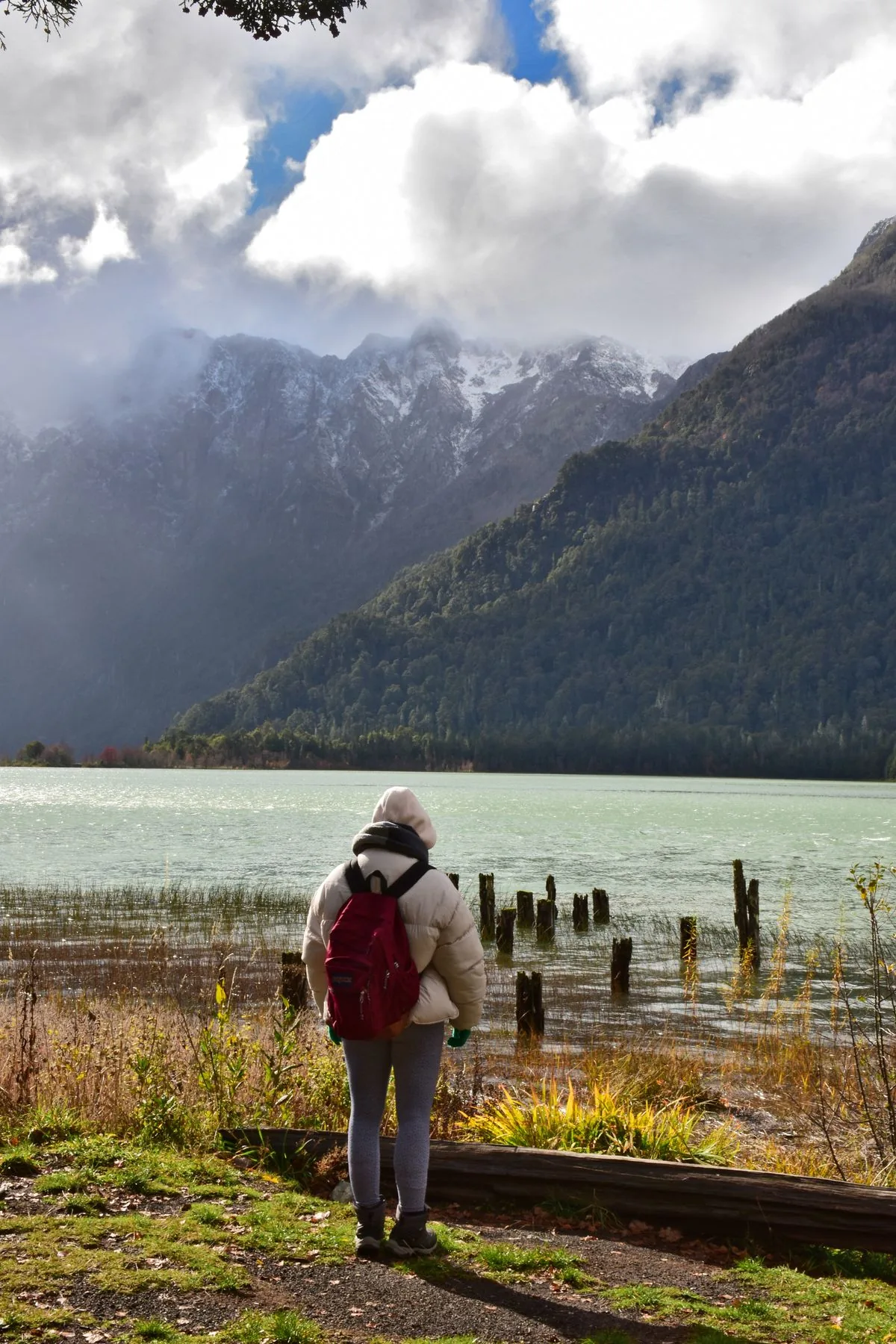 Mountain and lake landscape in Patagonia