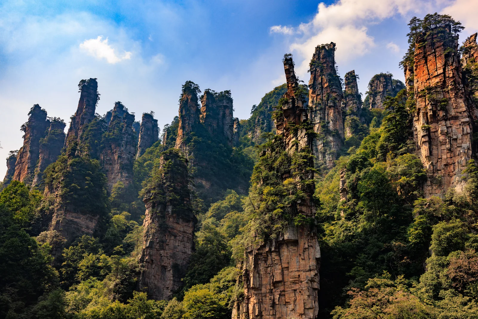 Towering sandstone pillars covered in green forest in Zhangjiajie, China