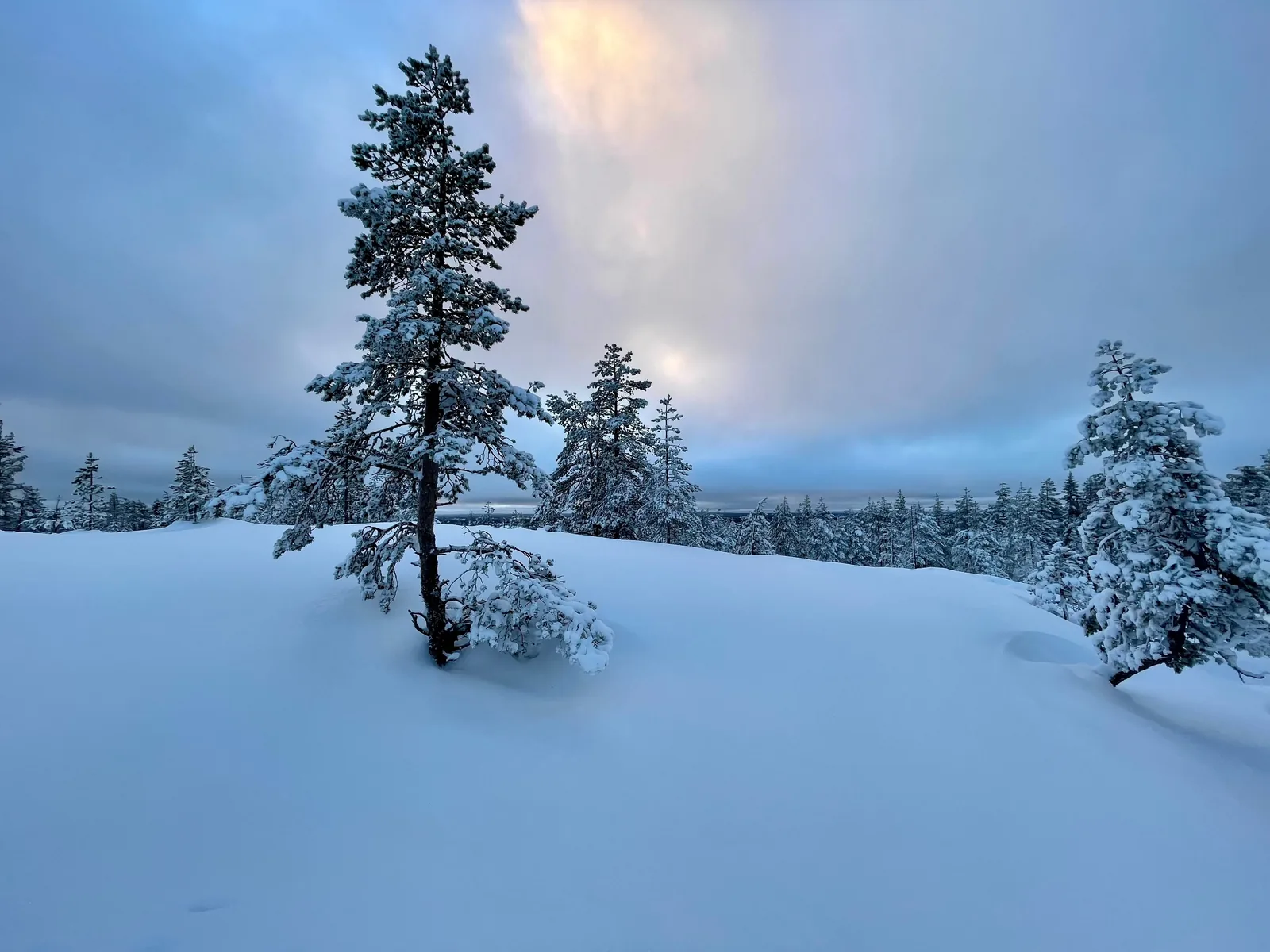 Snow-covered forest and river landscape in Rovaniemi, Finnish Lapland
