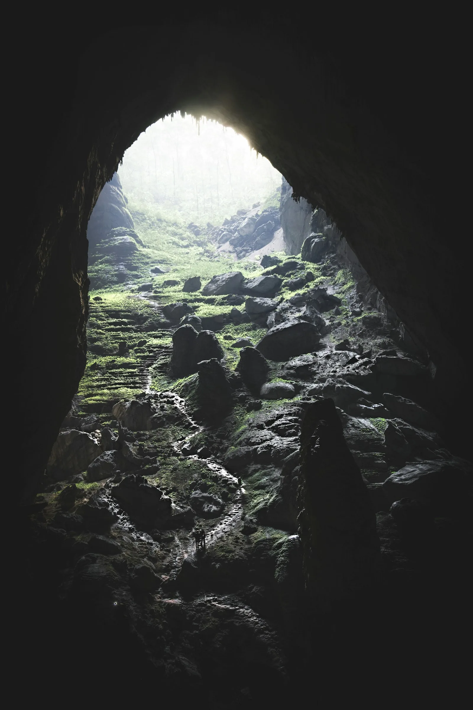 Inside Hang Son Doong, the world's largest cave, in Phong Nha, Vietnam