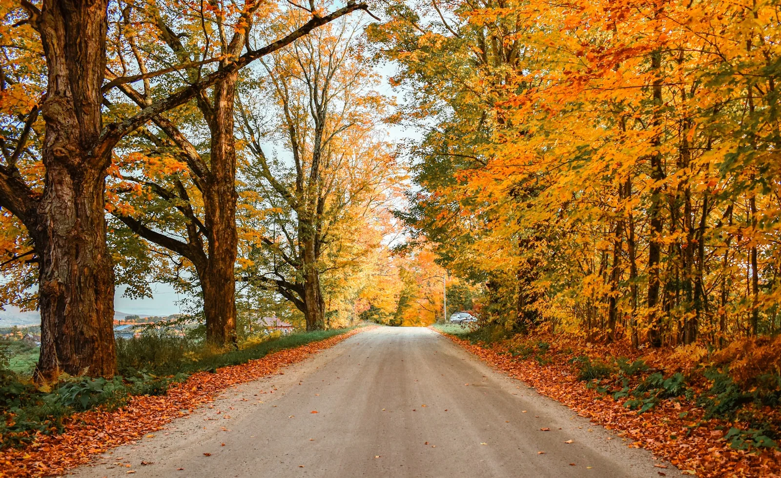 A quiet Vermont road lined with orange and yellow autumn foliage